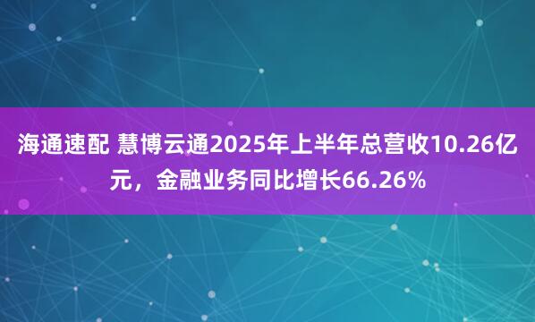 海通速配 慧博云通2025年上半年总营收10.26亿元，金融业务同比增长66.26%