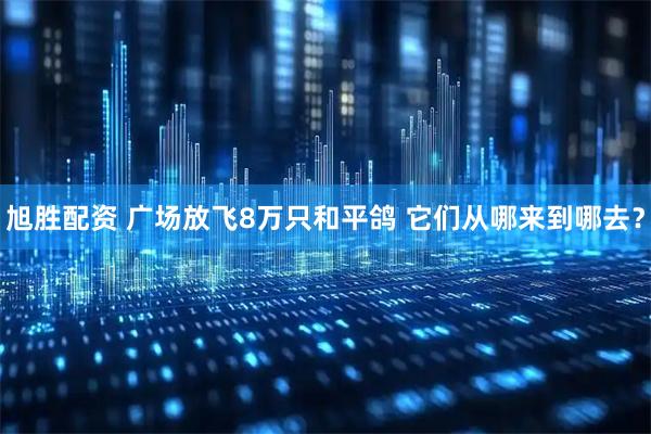 旭胜配资 广场放飞8万只和平鸽 它们从哪来到哪去？