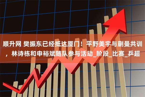 顺升网 樊振东已经抵达厦门!平野美宇与蒯曼共训,林诗栋和申裕斌随队参与活动_阶段_比赛_乒超